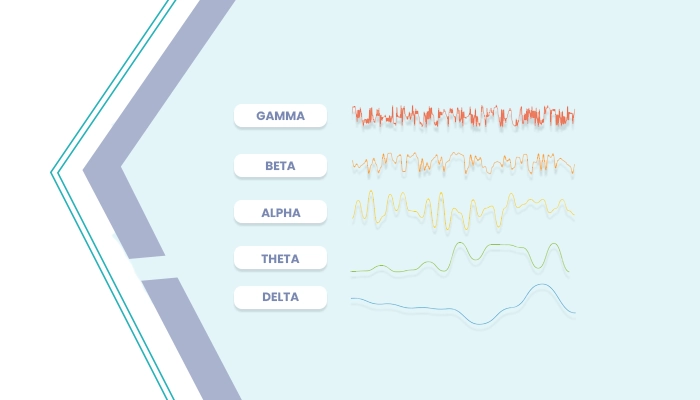 Which type of Brainwaves are produced by the brain