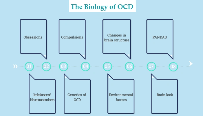 The Biology of OCD