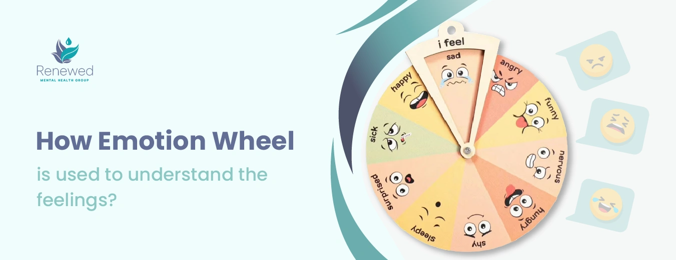 How Emotion Wheel is used to understand the feelings
