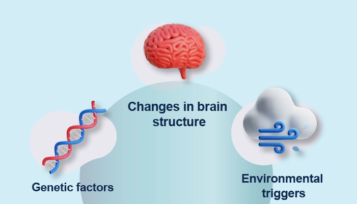 What are the causes of Bipolar disorder