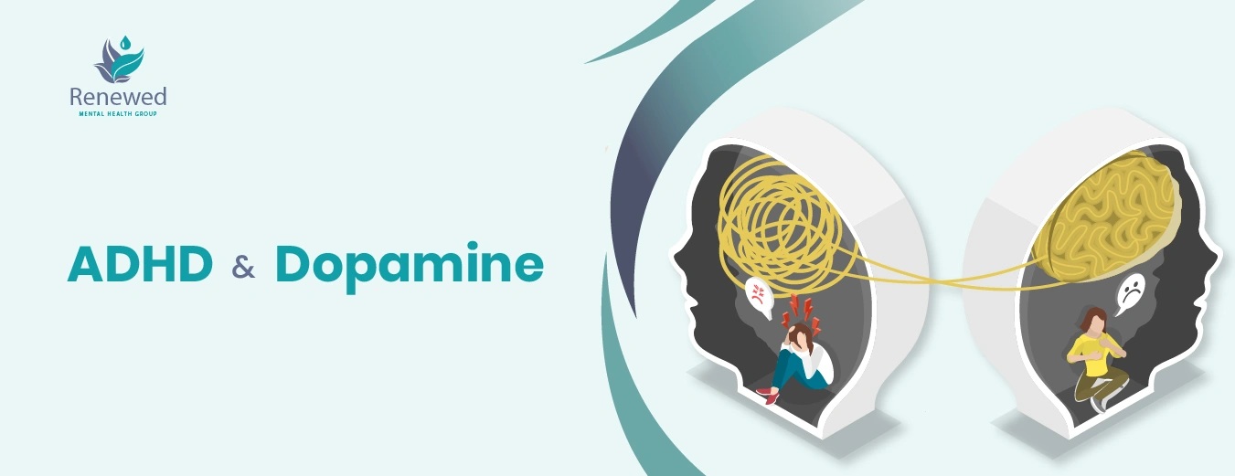 Connection between adhd and dopamine
